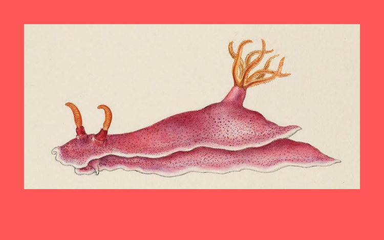 Staffel 2: Community Safari — Was können Communities?